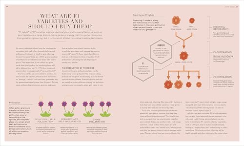 The Science of Gardening: Discover How Your Garden Really Grows (DK Science of) - Image 6