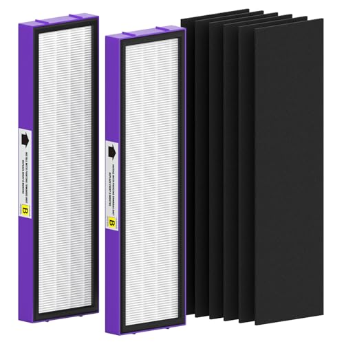 2 Pack FLT4850PT True HEPA Replacement Filter B, with Pet Pure Treatment for G-Guardian Air Purifier C4900 AC4825 AC4850PT AC4870 CDAP4500 AC4300 and More