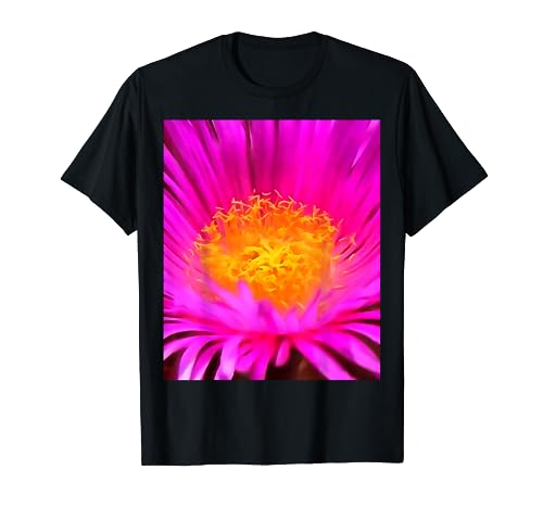 Artistic Magenta Pink Aster