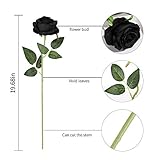 Zoom IMG-2 laelfe 12 pezzi rose nero Zoom IMG-2 laelfe 12 pezzi rose nero