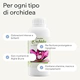 Illica B0CVP5DZWY lato 3