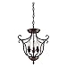 Millennium 1323-RBZ Three Light Pendant, Bronze/Dark