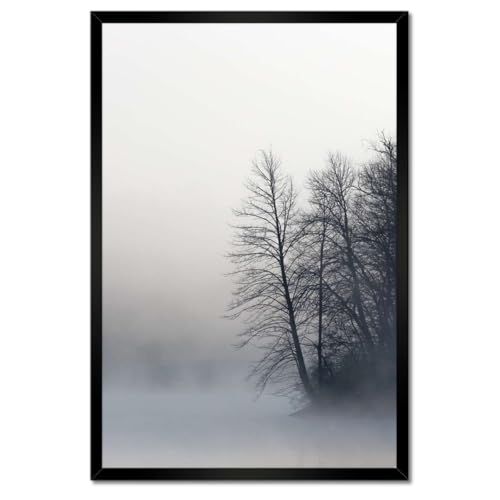 Forêt brumeuse d'hiver poster sous cadre blanc 40x60cm tableau H5490M
