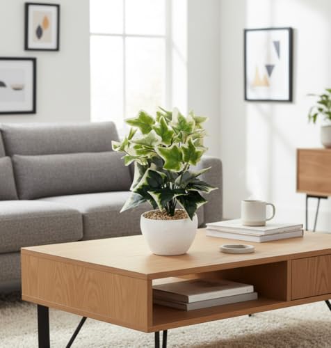 Image of Foliyaj Artificial Ivy Plant with White Pot | Indoor Plants for Home Decor | Living Room Decor | 28 cm Height | Decoration for Home and Office