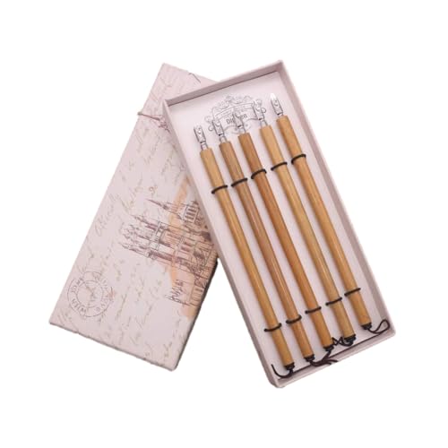 Zymoplas Set di 5 penne a punta fine per calligrafia e scrittura Must Have, strumenti per calligrafia e calligrafia, penne per scrivere, 1-5 piume