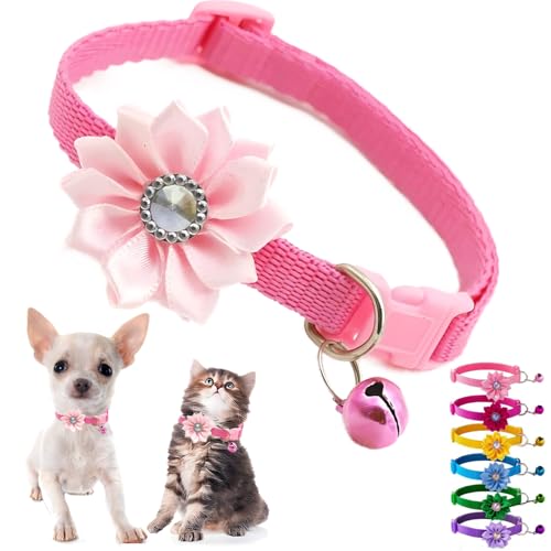 xƉԕtsN̎q̎ցAXSAxt̎ցAt[K[AL̎ցAXXS XSAXSAXSAp^AȃybgAȎqLA[L[A`AX-Small