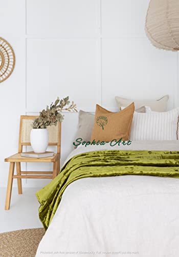 Sophia-Art Luxury Crushed Velvet Throw Blanket With Tassels Sofa Bed Soft Blankets Boho Warm Throws Cozy Plush Lightweight Pet (50X70 Inches, Olive Green) #TOP4