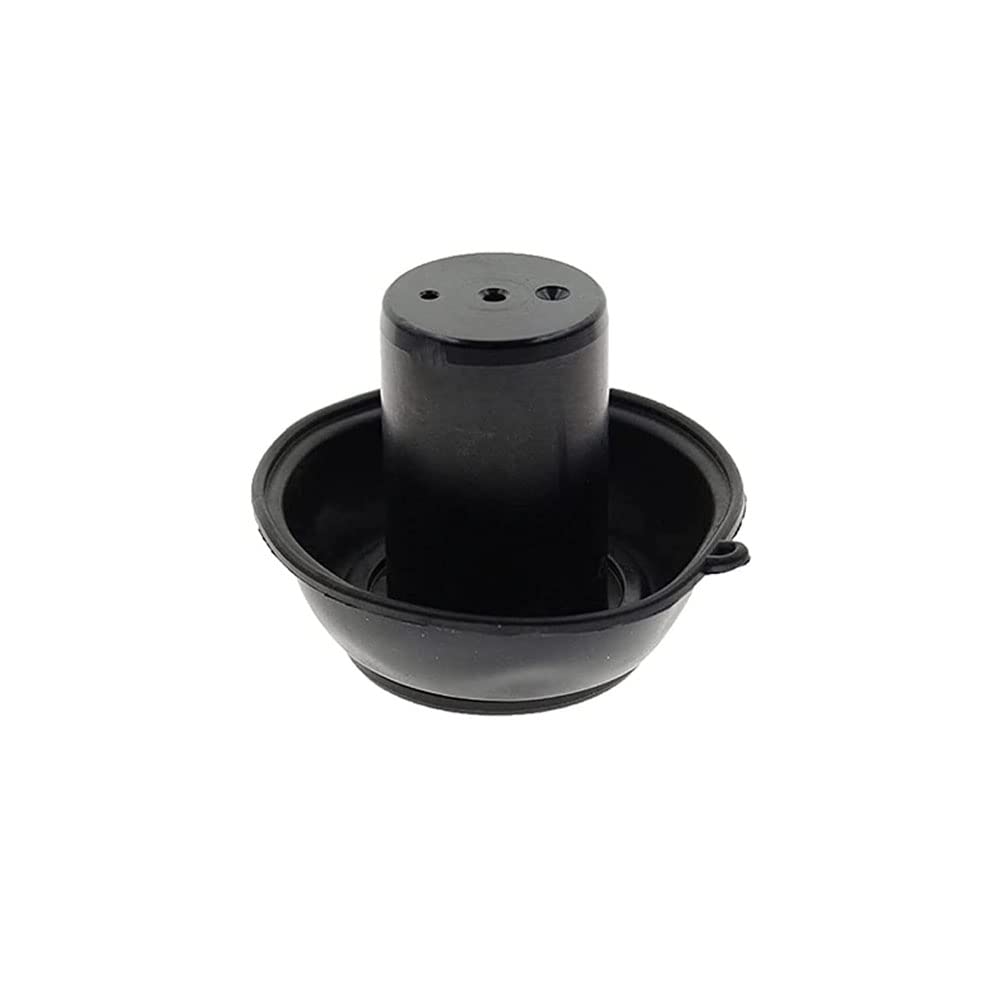 Riloer Juego de reconstrucción de carburador, kit de reparación de carburador compatible con Honda Steed Shadow 600, VT 600, VLX 600 1994-2003