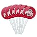 The Ohio State University Primary Logo Cupcake Picks Toppers Decoration Set of 6
