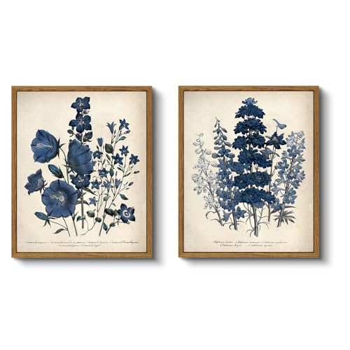 VIYYIEA 2 Pcs Framed Canvas Wall Art, Blue Botanical Antique Art Prints, Bathroom Bedroom Kitchen Country Farmhouse Vintage Retro Cottage Decor, 9x11inch, Set of 2