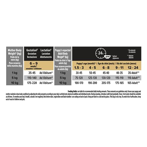 Pro Plan® Small & Mini Puppy Healthy Start Trockenfutter für Hunde mit Huhn, 7 kg