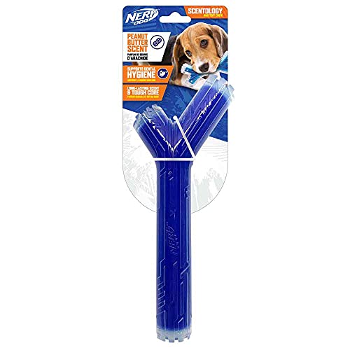 Nerf Dog 10in TPR/PP Scented Peanut Butter Scentology Stick Solid Core -Clear/Blue, (NF-7133)