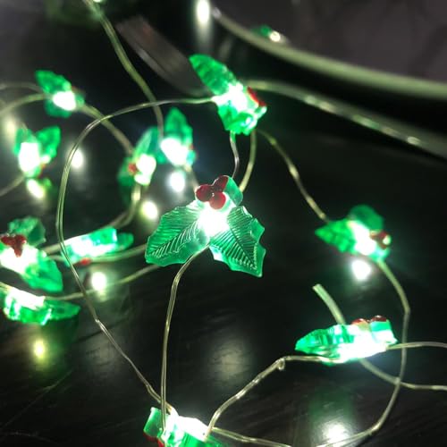 Ghirlanda luminosa natalizia con bacche di agrifoglio, 3 m, 30 LED, 8 modalità di illuminazione, ghirlanda di luci a LED a batteria, decorazione per albero di Natale per ghirlanda di Natale, feste