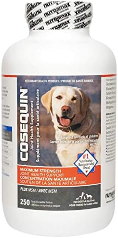 Nutramax Cosequin Maximum Strength Joint Health Supplement for Dogs – with Glucosamine, Chondroitin, and MSM, 250 CT Chewable Tablets