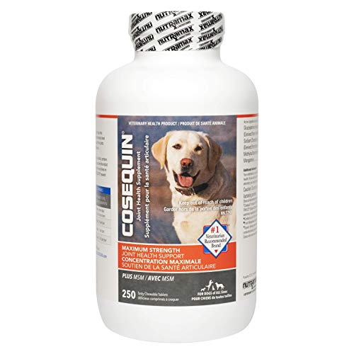 Nutramax Cosequin Maximum Strength Joint Health Supplement for Dogs – with Glucosamine, Chondroitin, and MSM, 250 CT Chewable Tablets