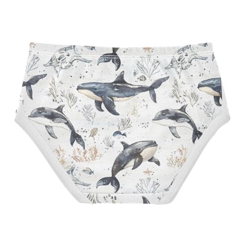 ZZKKO Ocean Whales Corals Starfish Girls Underwear Toddler Panties for Girls Comfort Brief Size 2-8T2