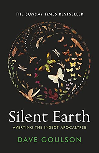 Silent Earth view 2