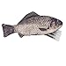 Produktbild xuxuou Fisch Bleistift Fall, Creative Herstellungsmaterial Stationery Aufbewahrungstasche Federmäppchen Stationery Organizer für Jungen Mädchen Studenten