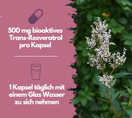 EXVital® Resveratrol Kapseln, 98% Trans-Resveratrol, 500mg pro Kapsel, 120 vegane Kapseln, vegan & ohne Zusätze, laborgeprüft