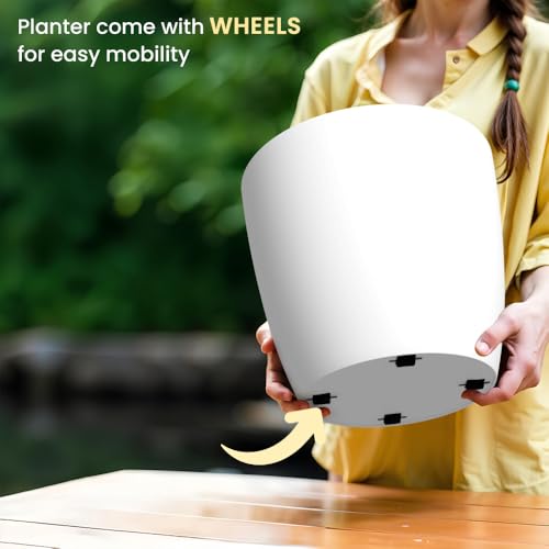 Image of YUCCABE ITALIA SHERA Stella 12 Inch Plastic Plant Pot for Home Decor Indoor Plant Pots for Living Room Plastic Flower Pot for Garden (White, 12 INCH - 4 Pcs)