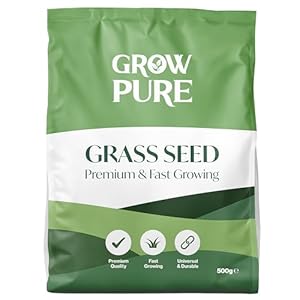 Grass Seed (500g Covers up to 30 sq...