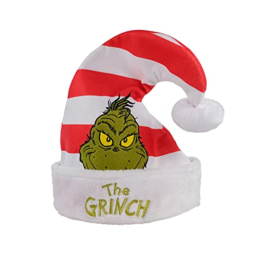 Ruz Dr Seuss How The Grinch Stole Christmas Hat, 16
