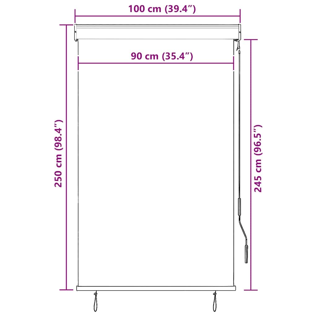 Generisch Außenrollo 100 x 250 cm Anthrazit,Heim Garten,Dekoration,Fensterdrapierung,Jalousien Rollos-145958