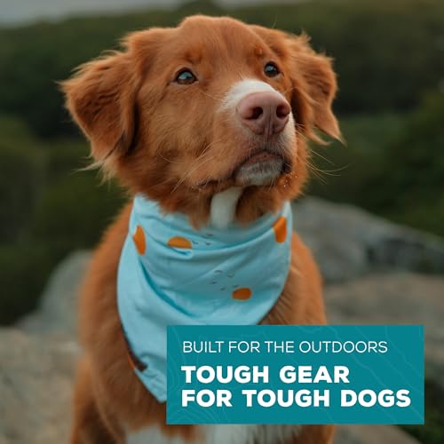 Image of Wilderdog Dog Bandana with Lightweight Quick Drying Poly-Blend Mesh Material in Barnaget