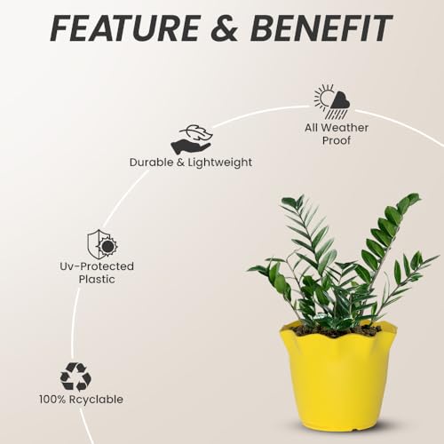 Image of YUCCABE ITALIA SHERA 4 Inch Plastic Flower Pot 12 Piece Set of Unbreakable Round Shape Planter for Home Garden Seedling, Indoor and Outdoor (Yellow)