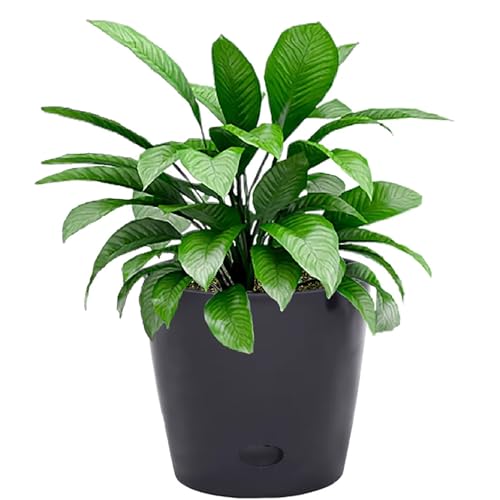 Bamboo-Blooms 7' Round Self-Watering Plan Pot...