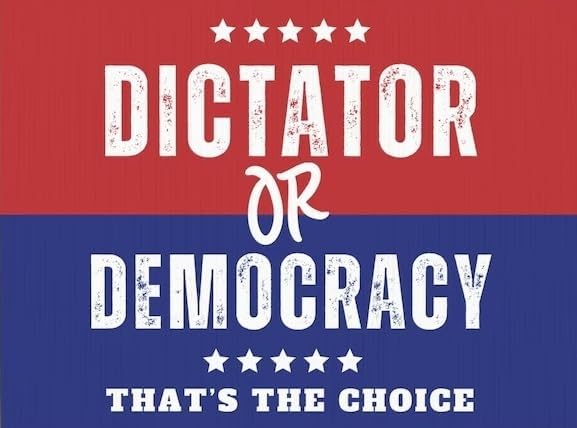 Dictator or Democracy Anti-Trump 18X24 inch 2-Sided Political Yard Sign with Stake