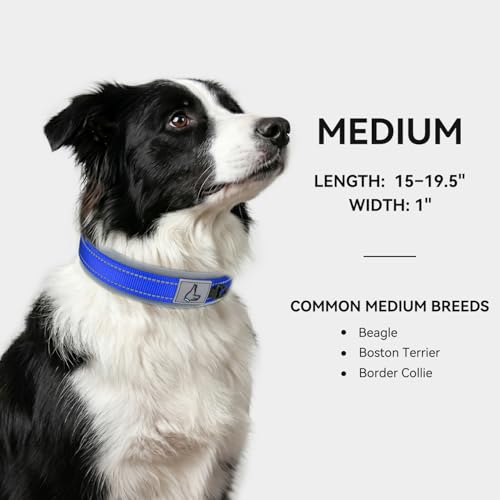 Image of Joytale Dog Collar for Medium Dogs, Neoprene Padded and Adjustable, Reflective Wide Heavy Duty Pet Collars with Durable Metal Belt Buckle for Walking, Navy Blue, M