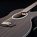Washburn Electro Acoustic 6 String Guitar, Right, Striped Ebony (DFEACE)