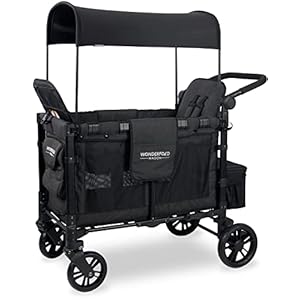 WONDERFOLD W2 Elite Double Stroller Wagon Featuring 2 High Face-to-Face Seats with 5-Point Harnesses, Adjustable Push…