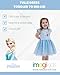 Disney Frozen Elsa Princess Anna Toddler Girls Tulle Dress Blue Ombre 2T