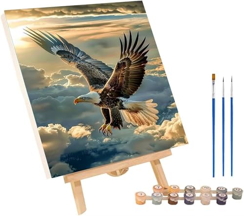 イーグル 数字油絵 DIY Paint by Numbers for Adults 雲 数字塗り絵 キット 大人用 初心者向け、 ペイントバイナンバー 大人のクラフト Paint by Numbers ホームウォールデコレーション用 誕生日プレゼント女性