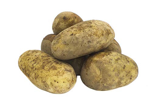 Fresh Produce Russet Potato 1kg