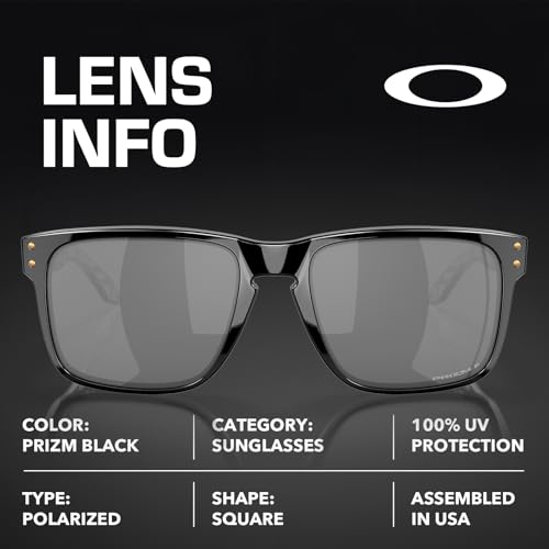 Image of Oakley HOLBROOK XL INTROSPECT COLLECTION OO9417 Sunglasses w /Official Kit | Polarized, Men's Sunglasses
