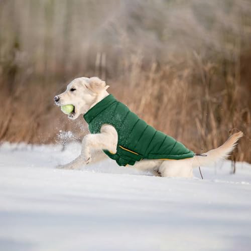 Image of Lelepet Reversible Dog Coat Windproof Dog Jacket Lightweight Puffer Vest | Dogs Puffer Coat for Dogs Adjustbale Hook & Loop Pet Apparel Cold Weather Coats with Leash Hole, Chihuahua, French Bulldog, L