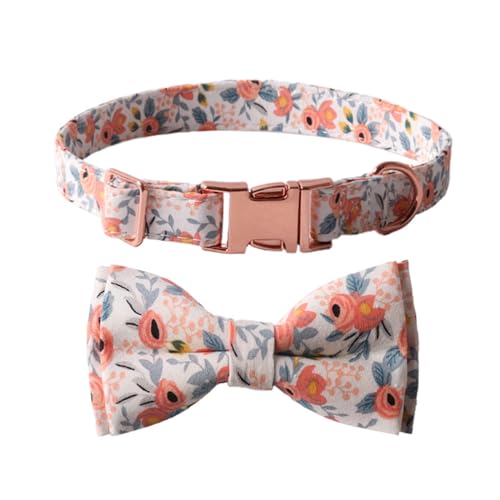 Collier pour chien avec laisse et nœud fleur chic