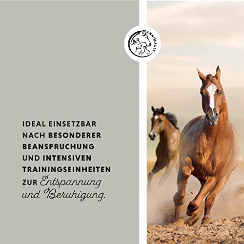 Annimally Tonerde Pferd 2kg - Tonerdepaste für Pferde mit wertvollen Kräuterextrakten zur Entspannung & Beruhigung der Muskeln