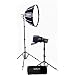 Produktbild NL-FZ60-BK2B Nanlite Kit Forza 60 Bicolor mit Hüllen, Stativen, 1 Fresnel und Softbox