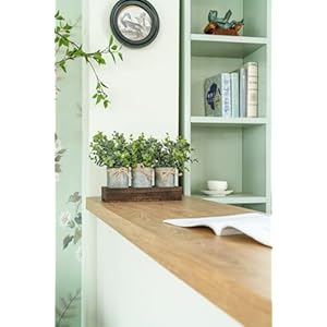 Dahey Centerpiece Table Decorations Coffee Table Decor Wood Tray 3 Galvanized Pots with Artificial Eucalyptus Plants Farmhouse Decor Table Centerpieces for Dinning Living Room Bath Kitchen Brown