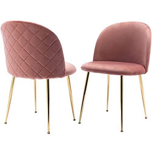 Chairus Dining Chairs Set Of 2, Velvet Upholstered Vanity Chair With Gold Metal Legs, Living Room Bedroom Modern Accent Chairs Side Chair, Dusty Pink #TOP27