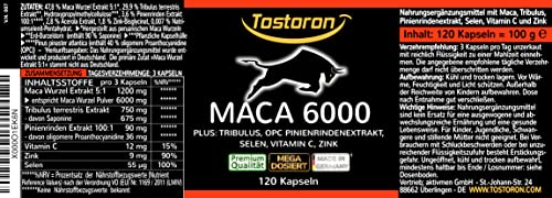 Tostoron MACA 6000 hochdosiert - hol dir jetzt den TOSTORON HAMMER direkt nach Hause! 120 Kapseln + Tribulus, Pinienrindenextrakt, Vitamin C, Selen, Zink - laborgeprüft - 1 Dose (1x100g) dein Antrieb! – Bild 7