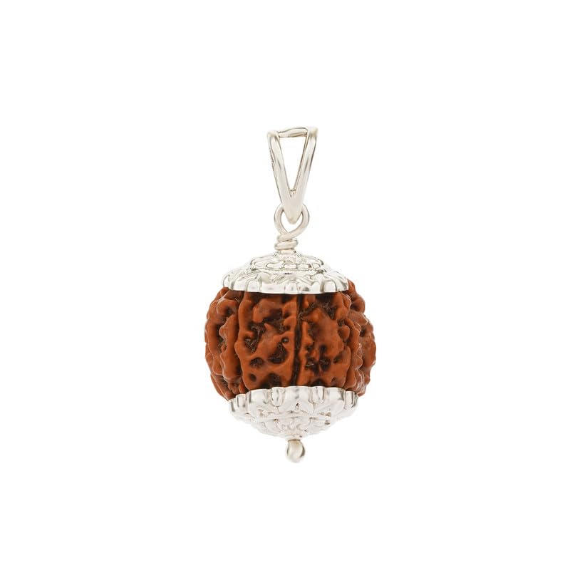 Image of Gemsmantra 7 Mukhi Rudraksha Bead With Pendant in 92.5 Sterling Silver | Regular Size | Original Nepali | Natural and Lab Certified | Represents Goddess Lakshmi, Enhances Wealth, Prosperity & Success For Men & Women