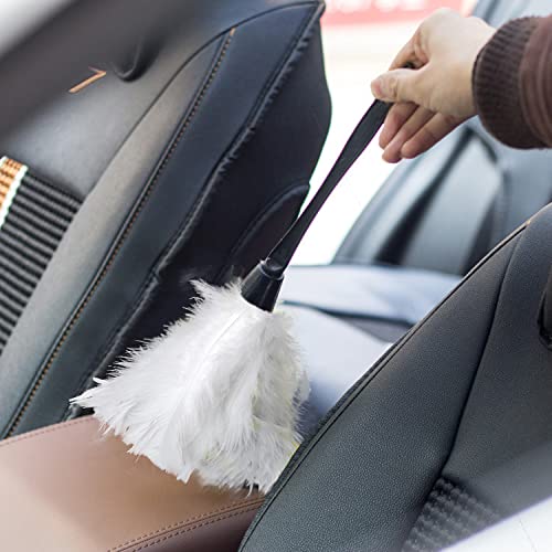 Image of Turkey Feather Dusters for Cleaning Home Blinds Kitchen car Office, Eco-Friendly Reusable (2 pcs White)