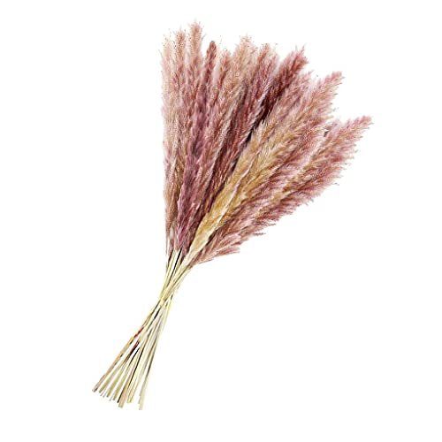 IKEEYUIS 15 Peças Secas Grama Pampa Flor Cacho Natural Buquê Decoração Doméstica Romântica DIY Cana