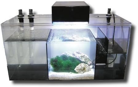 Berlin Sump Model 20