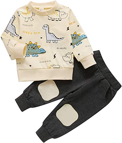 Toddler Kid Baby Boy Clothes Long Sleeve Dinosaur Pullover Sweatshirt Top Pants Sweatsuit Fall Winter Outfits (Beige,2-3T)